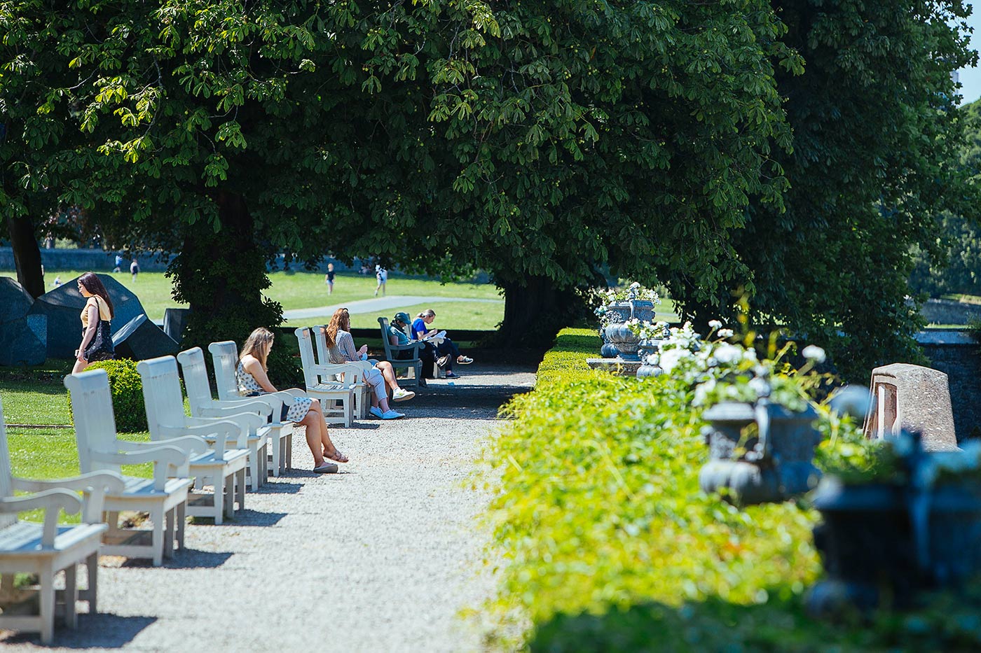 A serene park scene with people sitting on benches under large trees. The pathway is lined with greenery and flowers, with people relaxing, reading, and enjoying the sunny day.